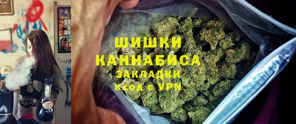 индика Белоозёрский