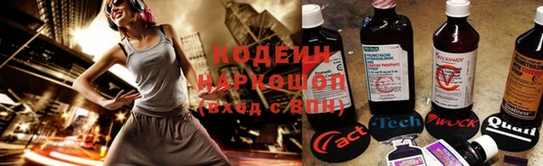 индика Белоозёрский